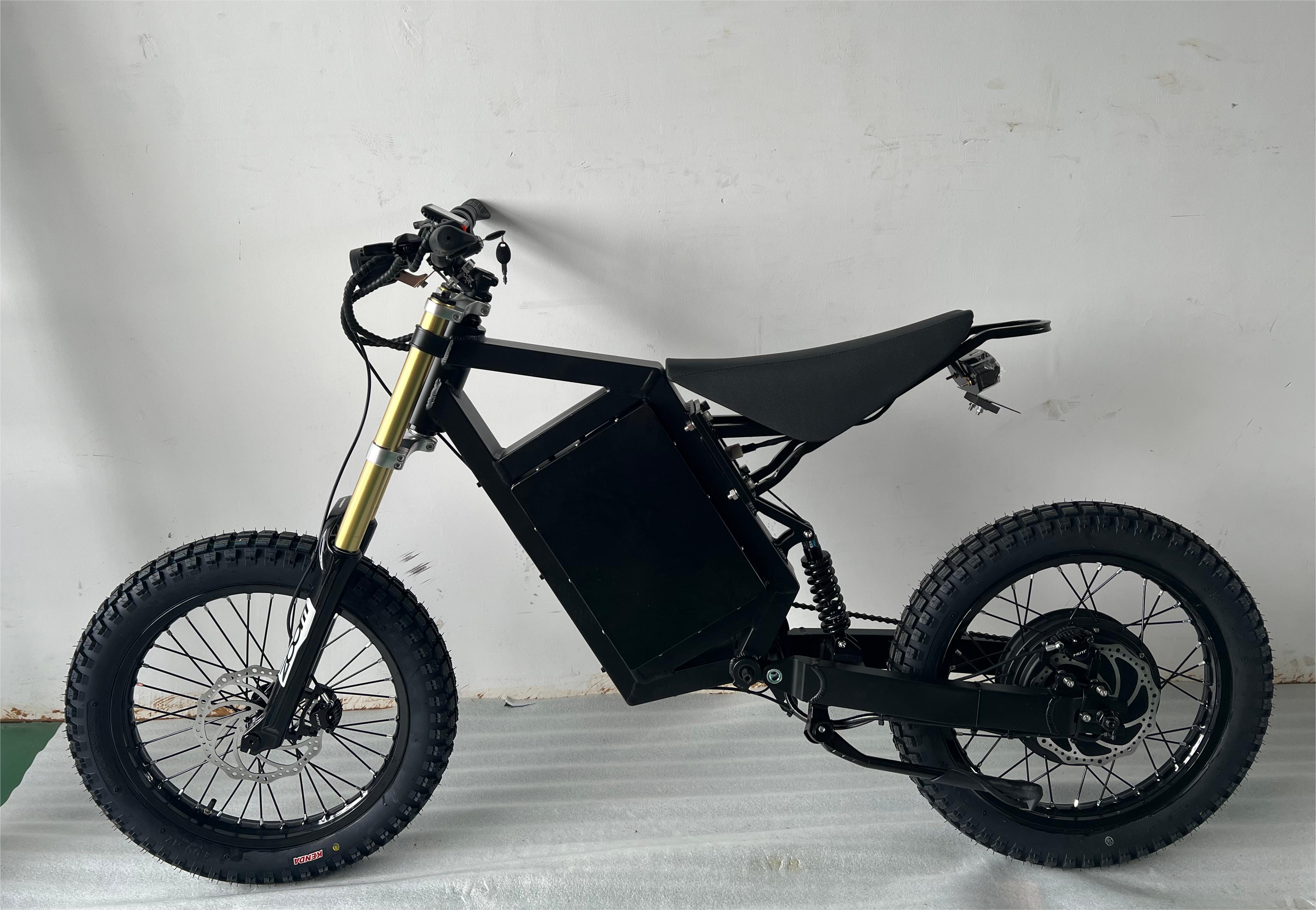 CS20 3000W Dirt Bicycle 48V 29AH Electric Mountain Bicycle with 17inch Turtle Tires