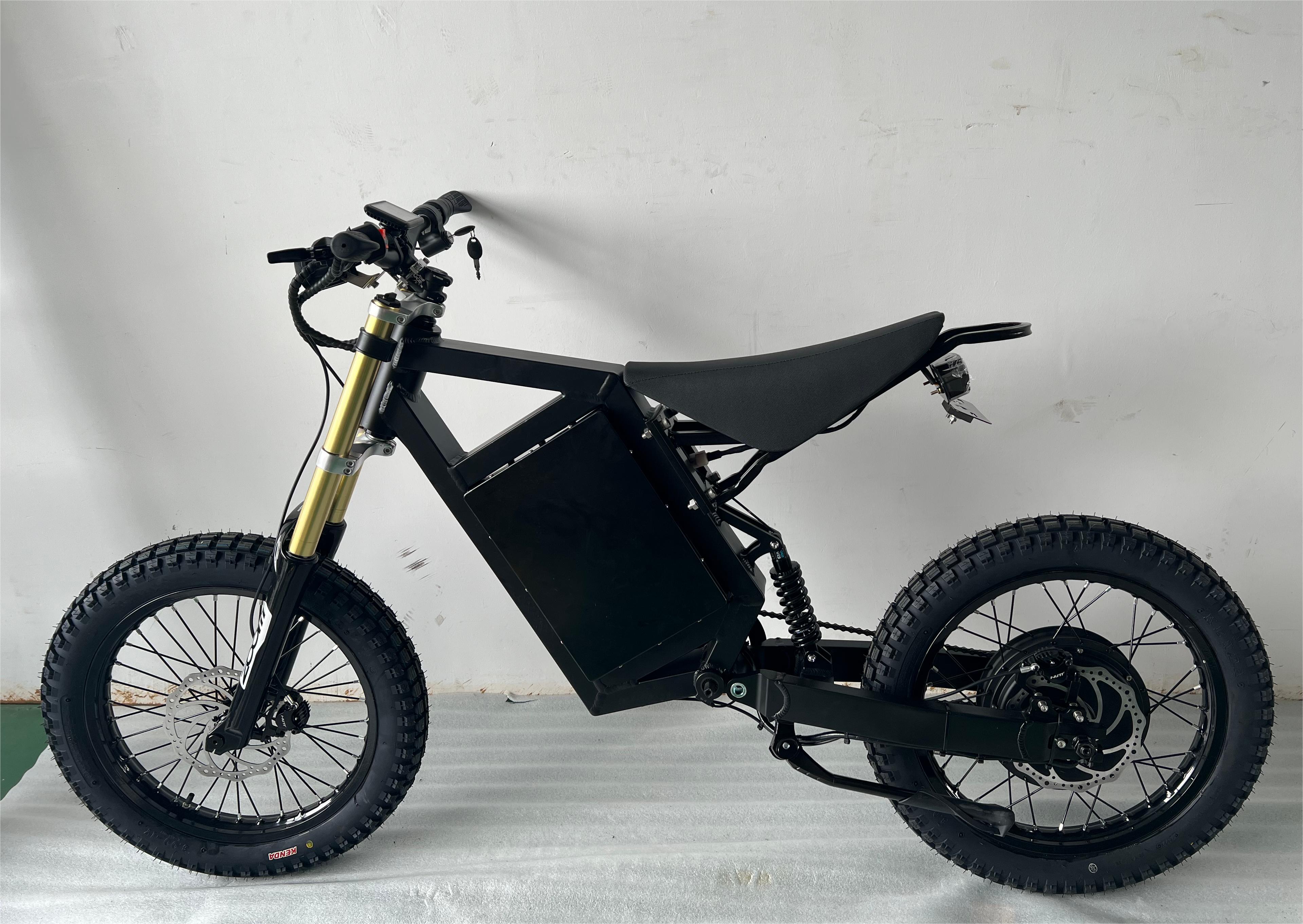 CS20 3000W Dirt Bicycle 48V 29AH Electric Mountain Bicycle with 17inch Turtle Tires